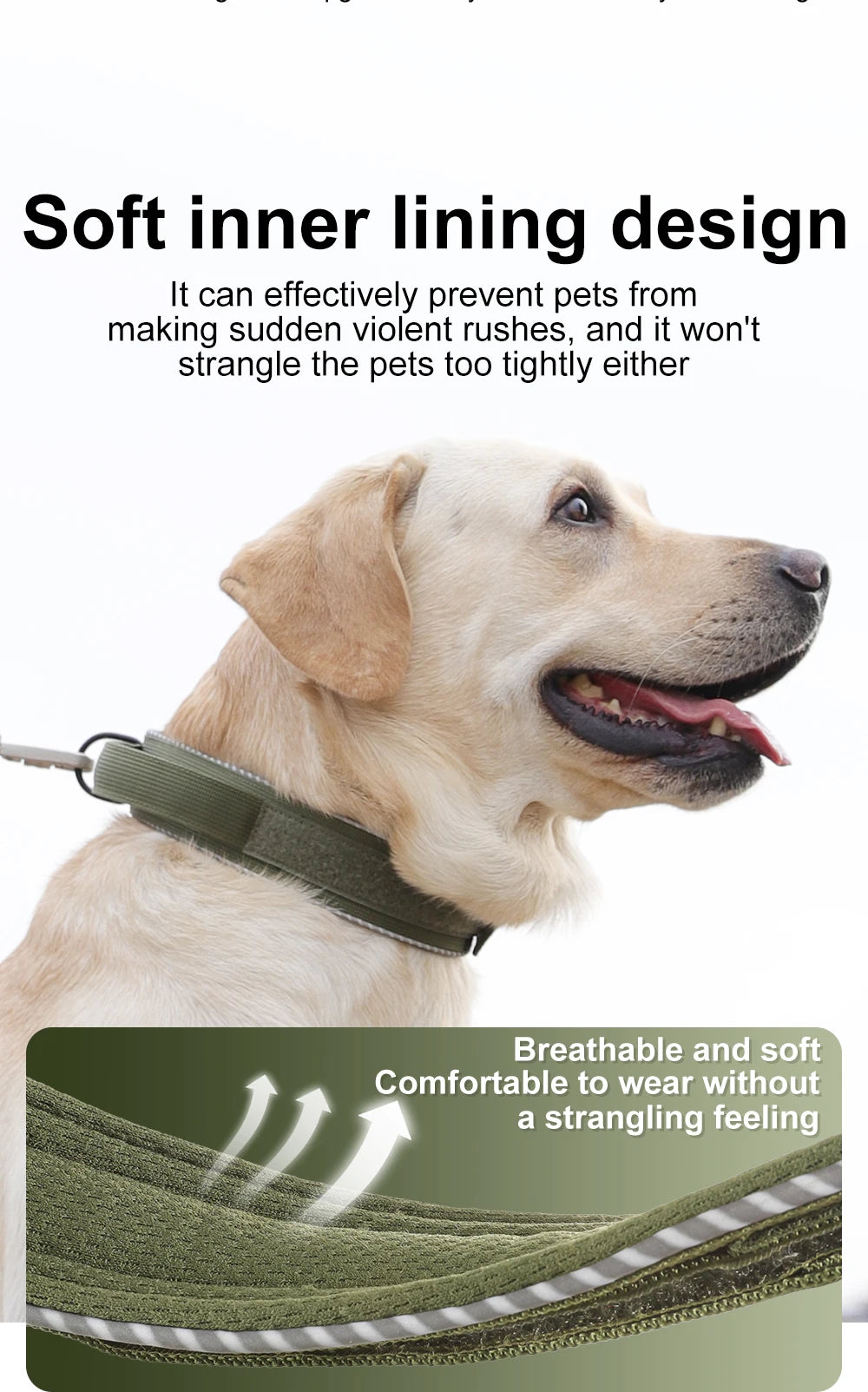 Forgetail TrailGuard Tactical Dog Collar | Adjustable Military Style Collar