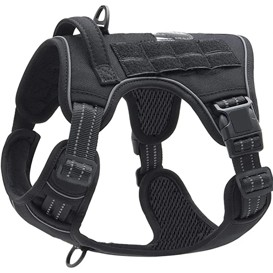 Forgetail TrailGuard Adventure Harness
