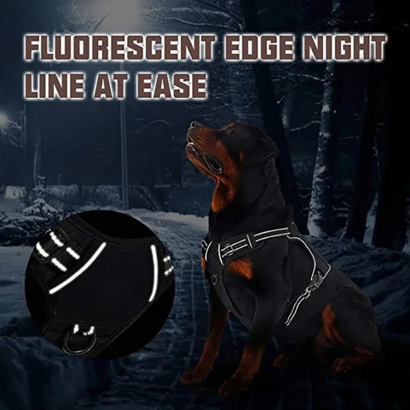 Forgetail TrailGuard Adventure Harness