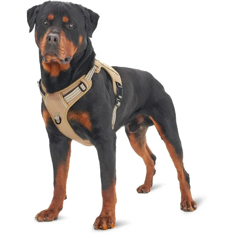 Forgetail TrailGuard Adventure Harness