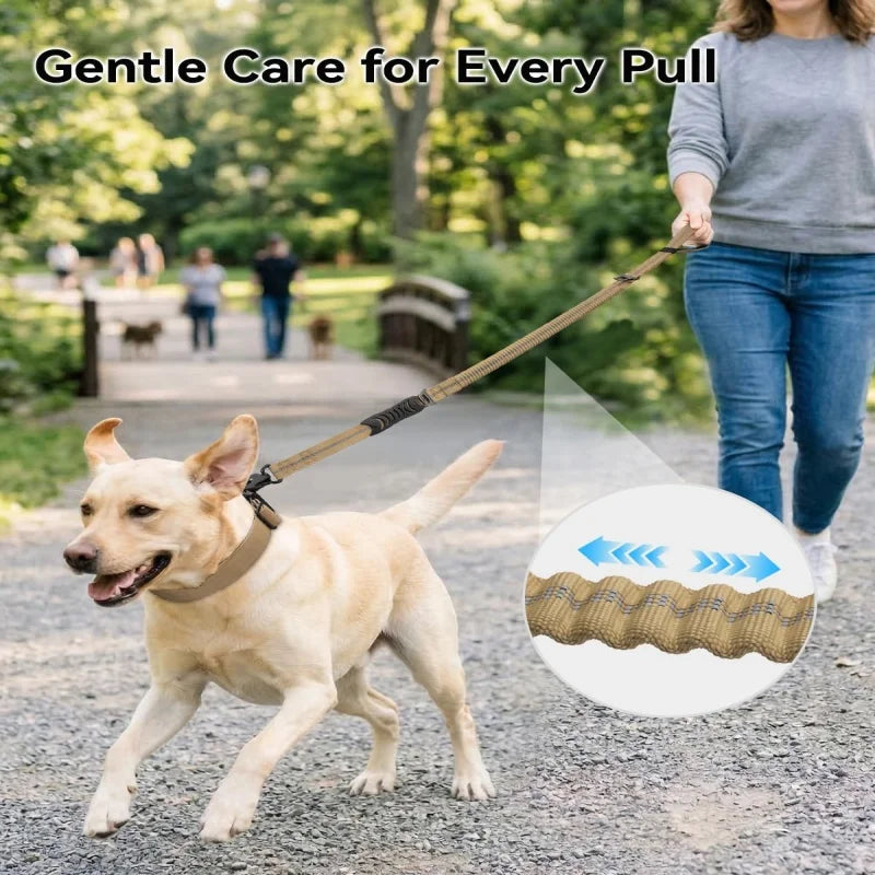 Forgetail  Adventure Bungee Leash