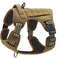 Forgetail TrailGuard Adventure Harness
